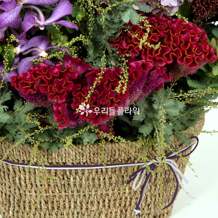 상세이미지