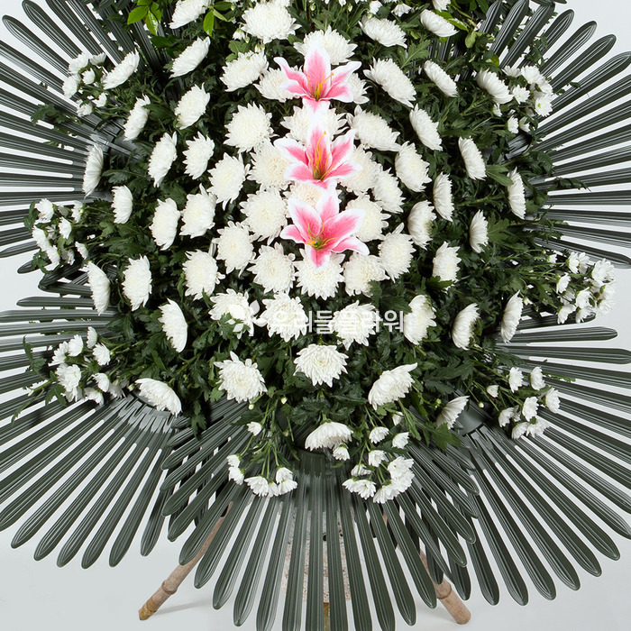 상세이미지
