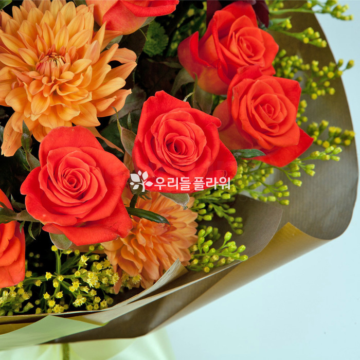 상세이미지