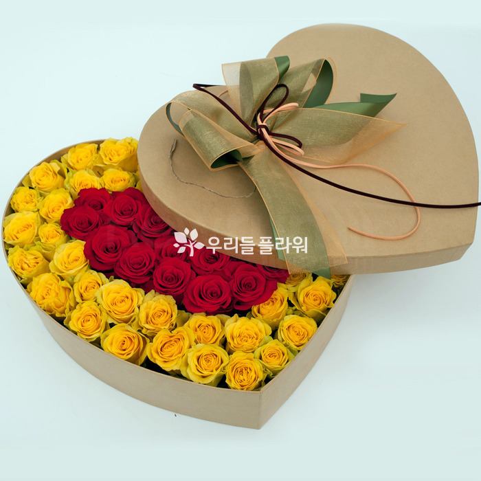 상세이미지