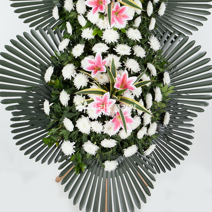 상세이미지