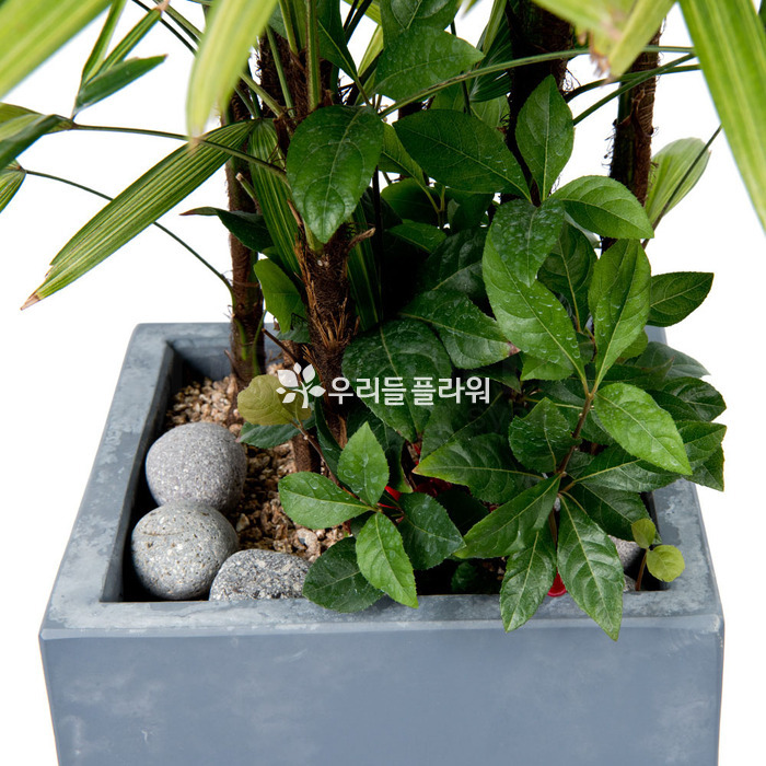 상세이미지