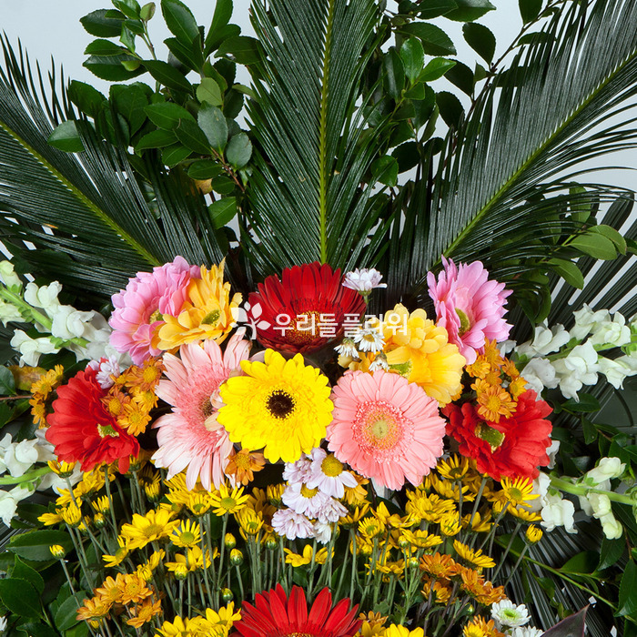 상세이미지