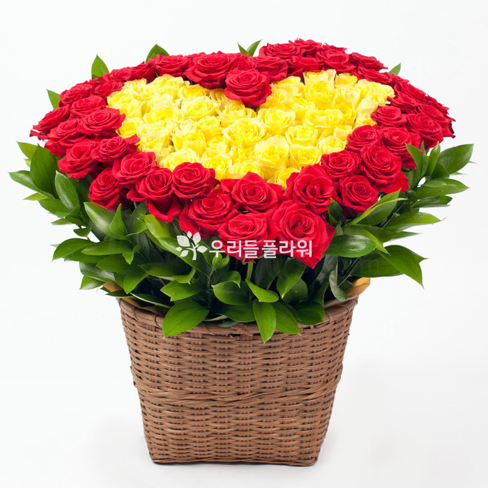 상세이미지