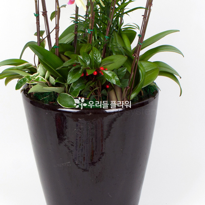 상세이미지