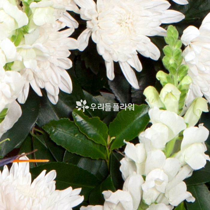 상세이미지