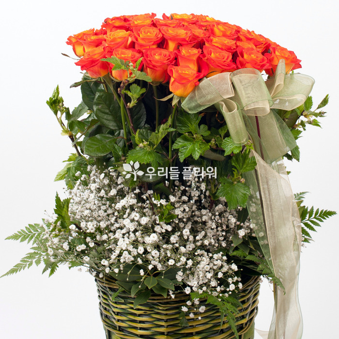 상세이미지