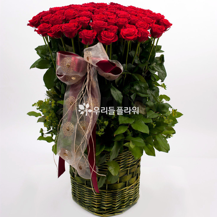 상세이미지