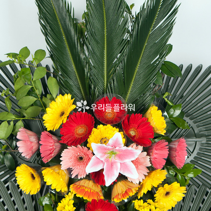 상세이미지