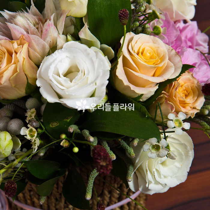 상세이미지