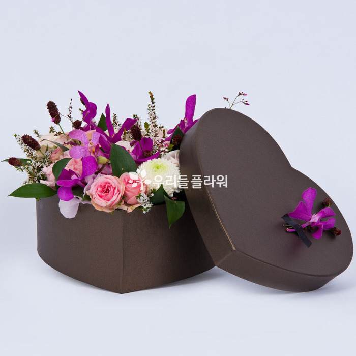 상세이미지