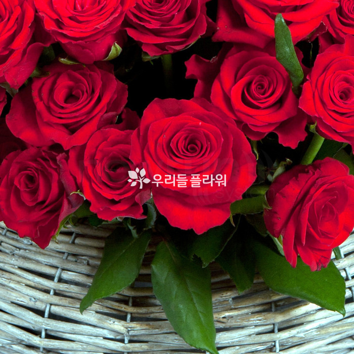 상세이미지