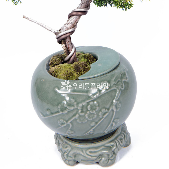 상세이미지