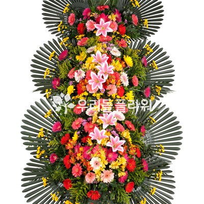 축하3단//축하합니다