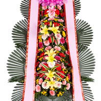 3단화환보편