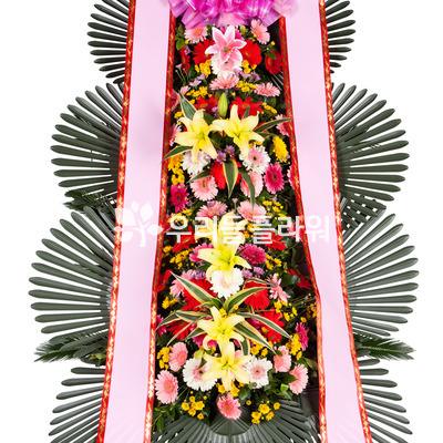 3단화환보편