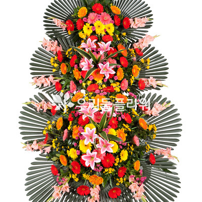 축하3단화환(꽃축복3호)