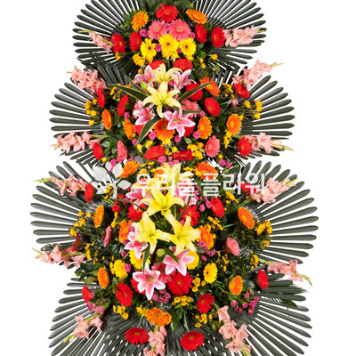 축하화환 3단(특)