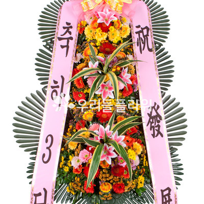 대박축하3단