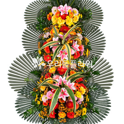 축하 3단