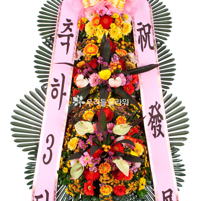 상세이미지