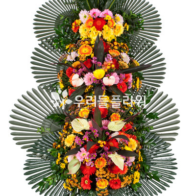 축하3단