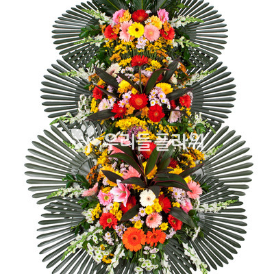 축하3단