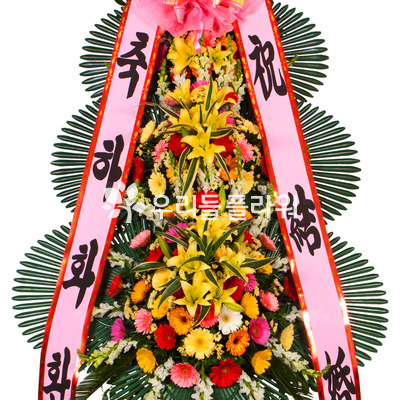 축하50