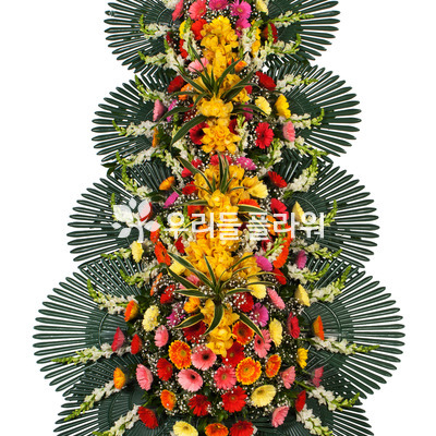 축하4단2