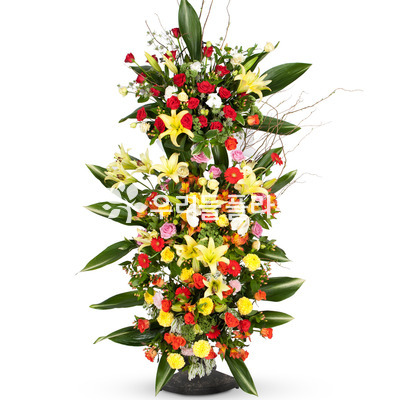2단축하바스켓