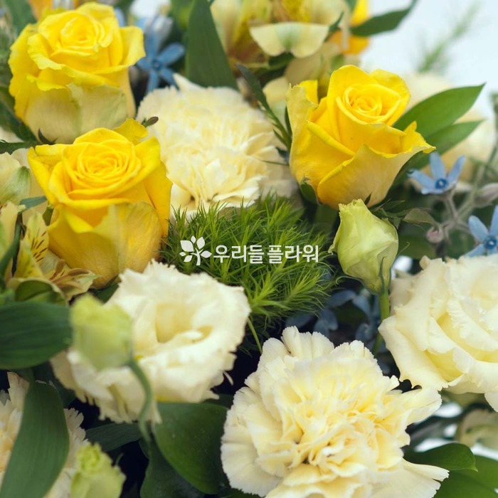 상세이미지