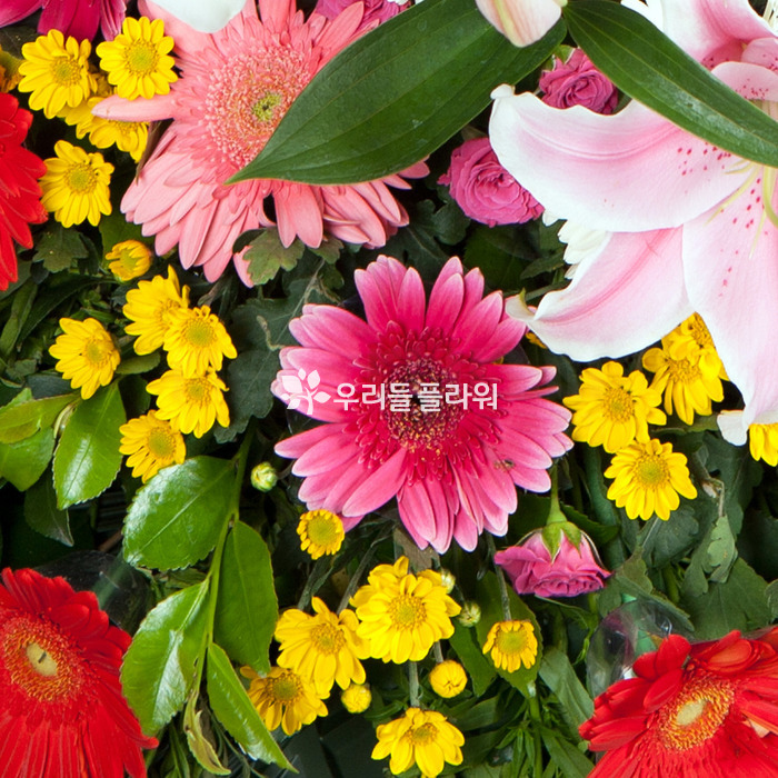 상세이미지