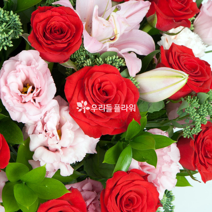 상세이미지