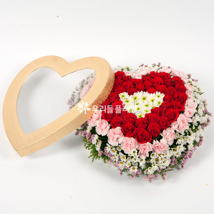 상세이미지