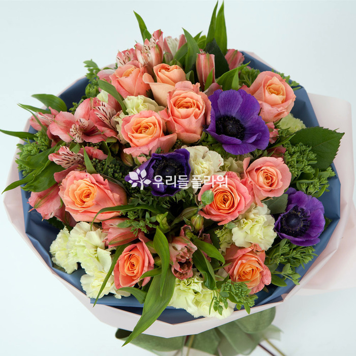 상세이미지