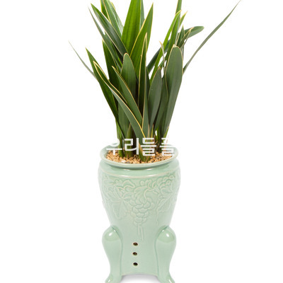 청자분대훈 366e