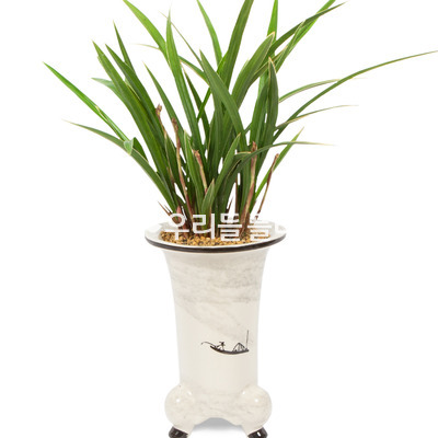 옥화 1025e