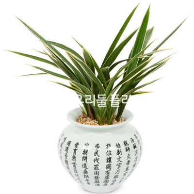 해란_일향3