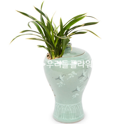 대국(청자분) 1027e