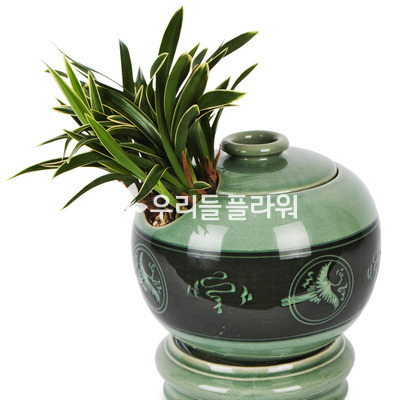 대국