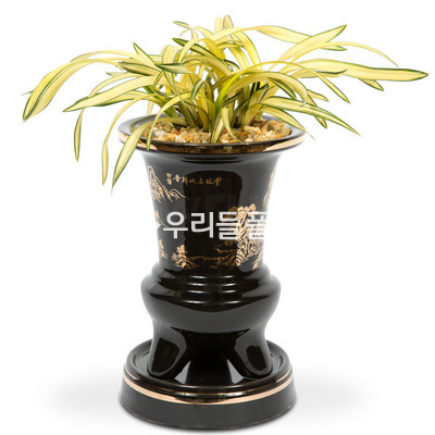황금강