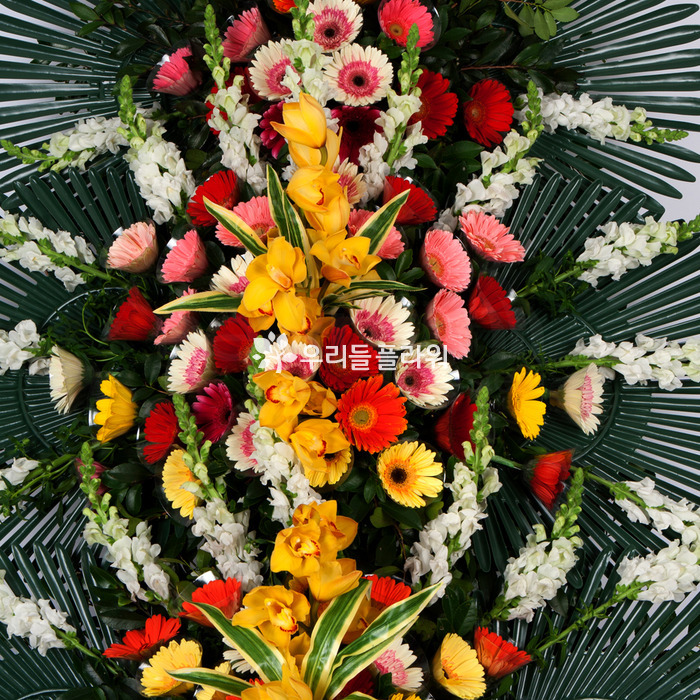 상세이미지