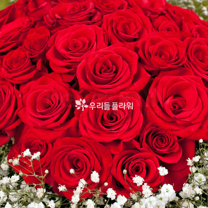 상세이미지