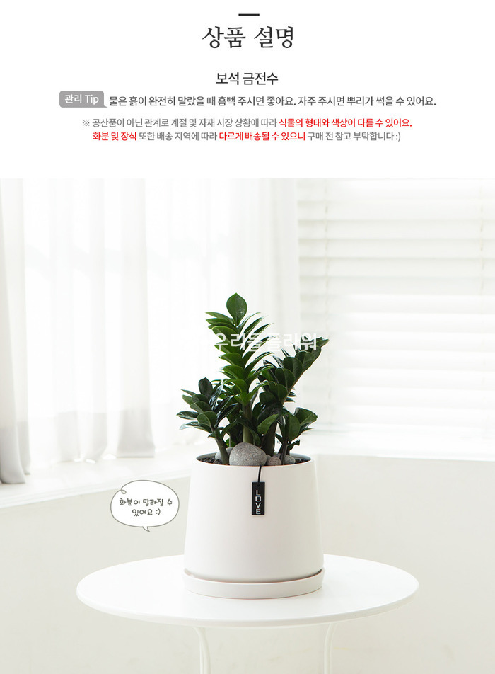 상세이미지