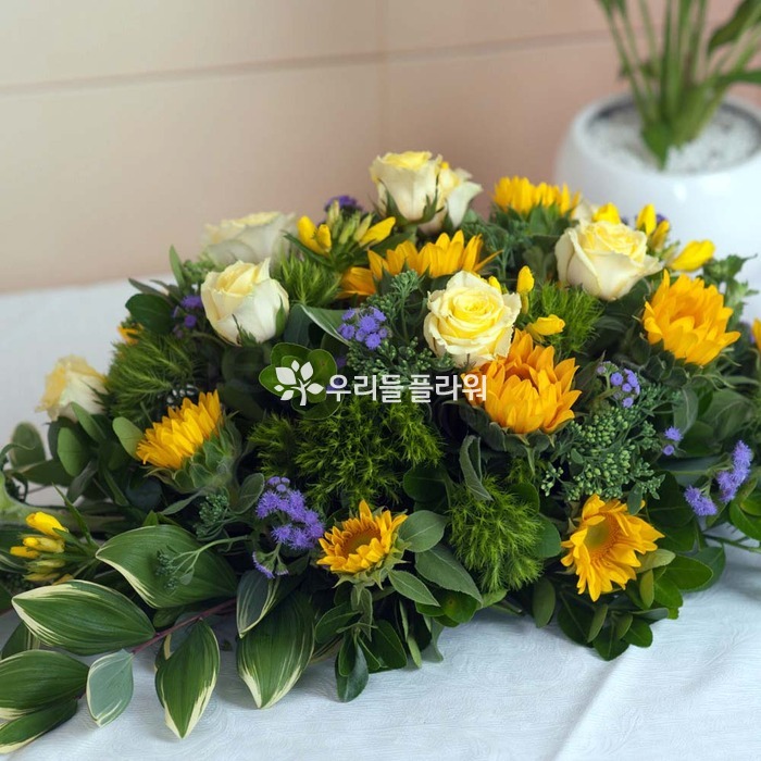 상세이미지