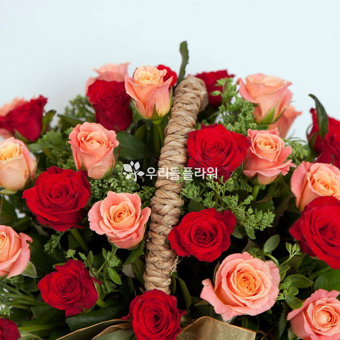 상세이미지