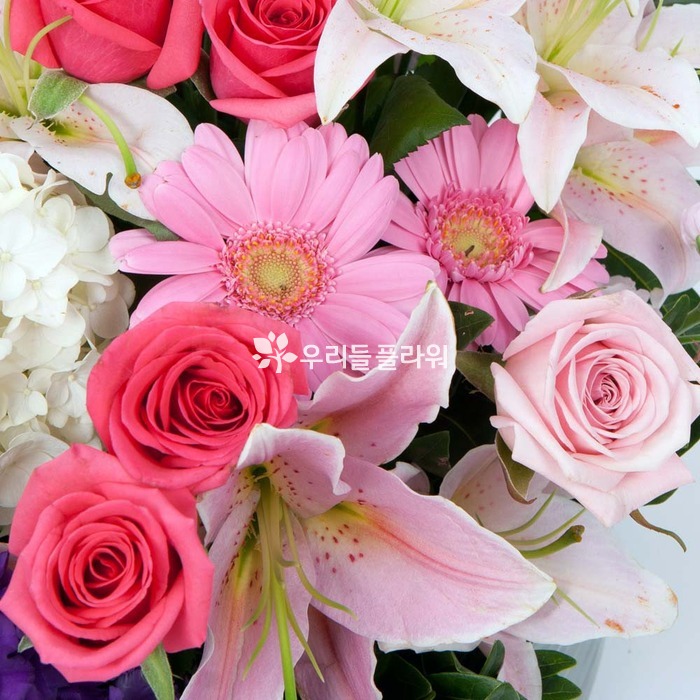 상세이미지