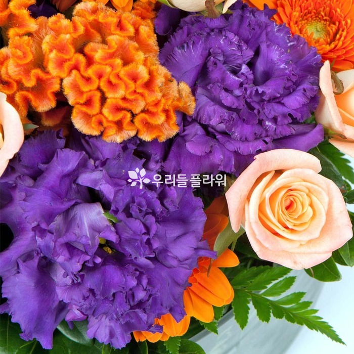 상세이미지