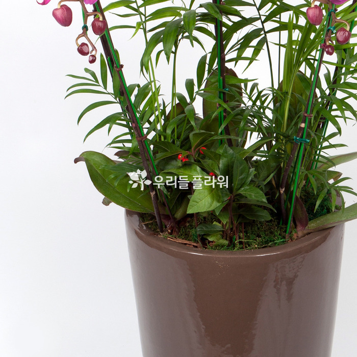 상세이미지