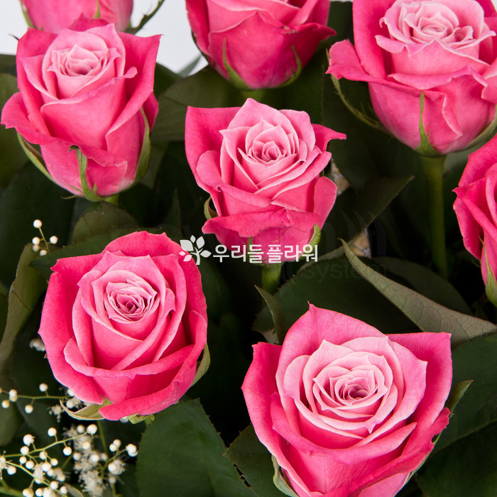 상세이미지